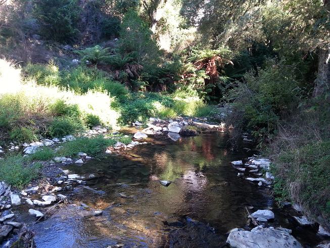King Country landscape 3