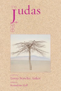judas_tree