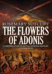 Flowers Of Adonis