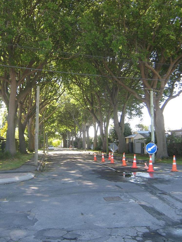 Dudley Avenue from Slater St cnr