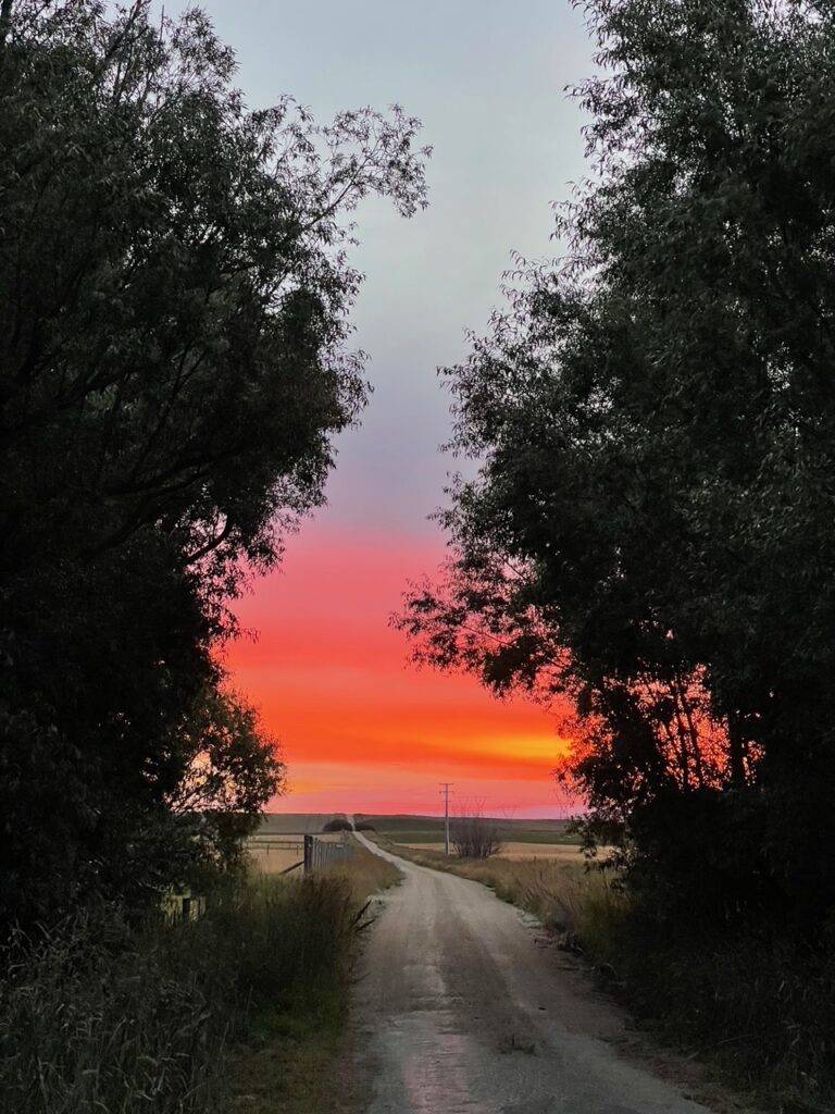 Ida Valley sunset, Central Otago; photo credit: J Grimmett